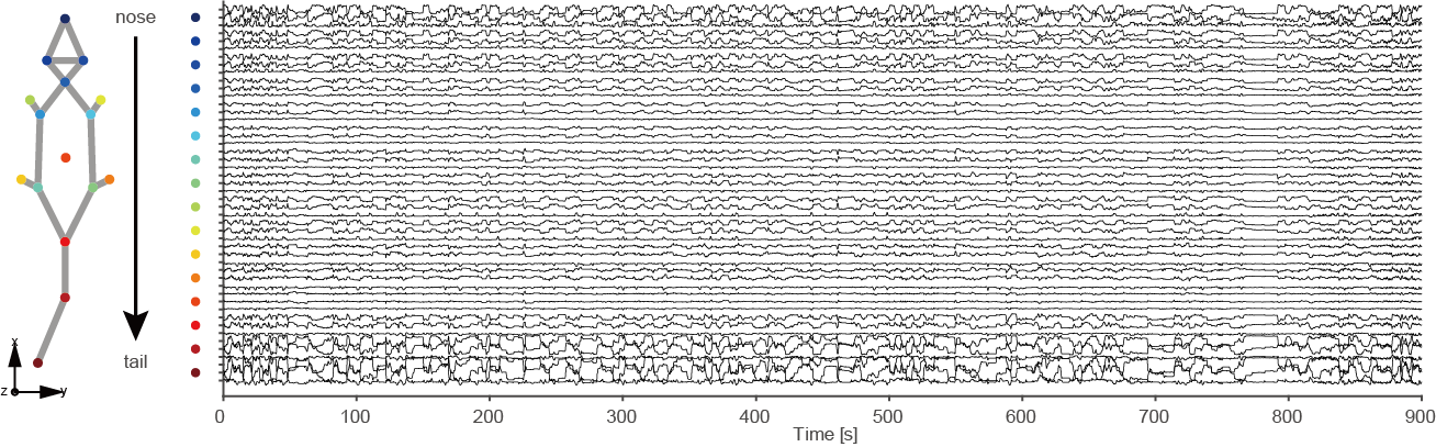 representative (900s) mouse body tracking trace data showing with 48 data vectors obtained by 3D reconstruction